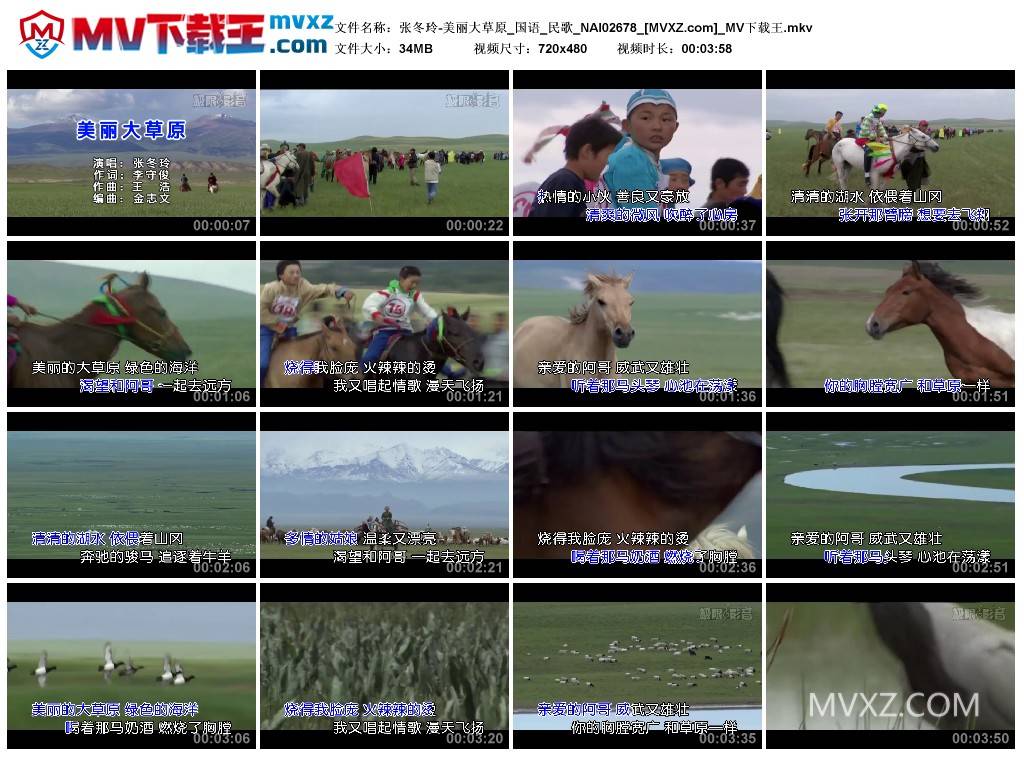 张冬玲-美丽大草原_国语_民歌_NAI02678